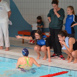 Natation course